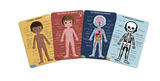 Human Body Puzzle