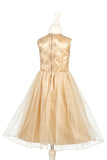 Noraline Fancy Dress - Special Event Apparel for Girls (3 sizes)