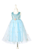 Nicolette Fancy Dress - Special Event Apparel for Girls (2 sizes)