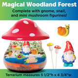 Plant & Grow Woodland Forest