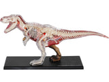 4D T-Rex Vision Model
