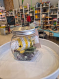 Aquarium Fish Pets