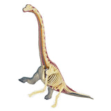 4D Brachiosaurus Vision Model