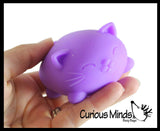 Cat Nee Doh Soft Fluff- Filled Squeeze Stress Ball