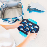 Sharks Reusable Food Container Bento Box