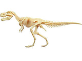 4D T-Rex Vision Model