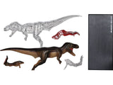 4D T-Rex Vision Model