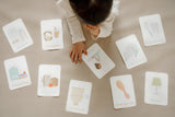 Routines Flashcards Bundle