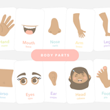 Body Parts Flashcards