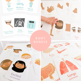 Body Flashcards Bundle