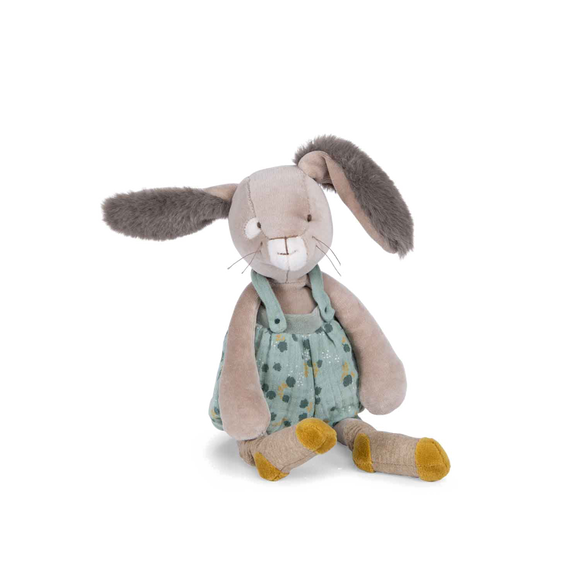 Sage rabbit 