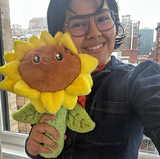 Mini Sunflower