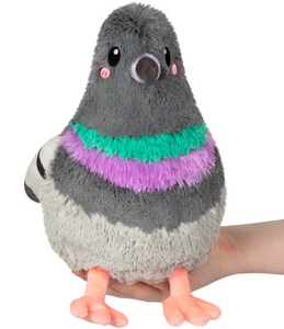 Mini Pigeon