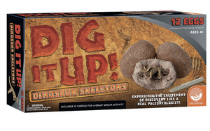 Dig It Up! Dinosaur Skeletons