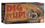 Dig It Up! Dinosaur Skeletons