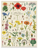 Cavallini & Co. Vintage Puzzle Wildflowers