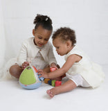 Bio Shape Sorter