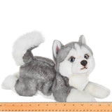 Manouk Plush HuskyDog