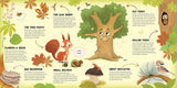 Discovering Life in the Tree - Children's Picture Board Book