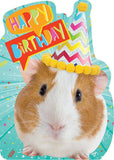Guinea Pig Birthday Card