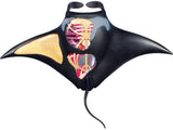 4D  Vision Manta Ray