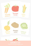 Vegetable Flashcards