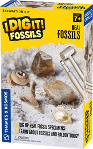 I Dig It! Fossils-Real Fossils