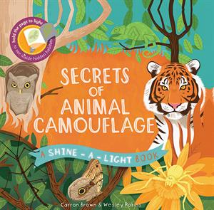 A Shine-A-Light Book: Secrets of Animal Camouflage