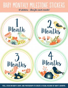 Baby Milestone Stickers - First Year