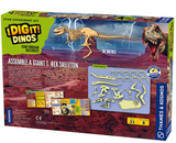 Giant Dinosaur Skeleton Kit