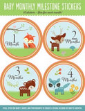 Baby Milestone Stickers - First Year